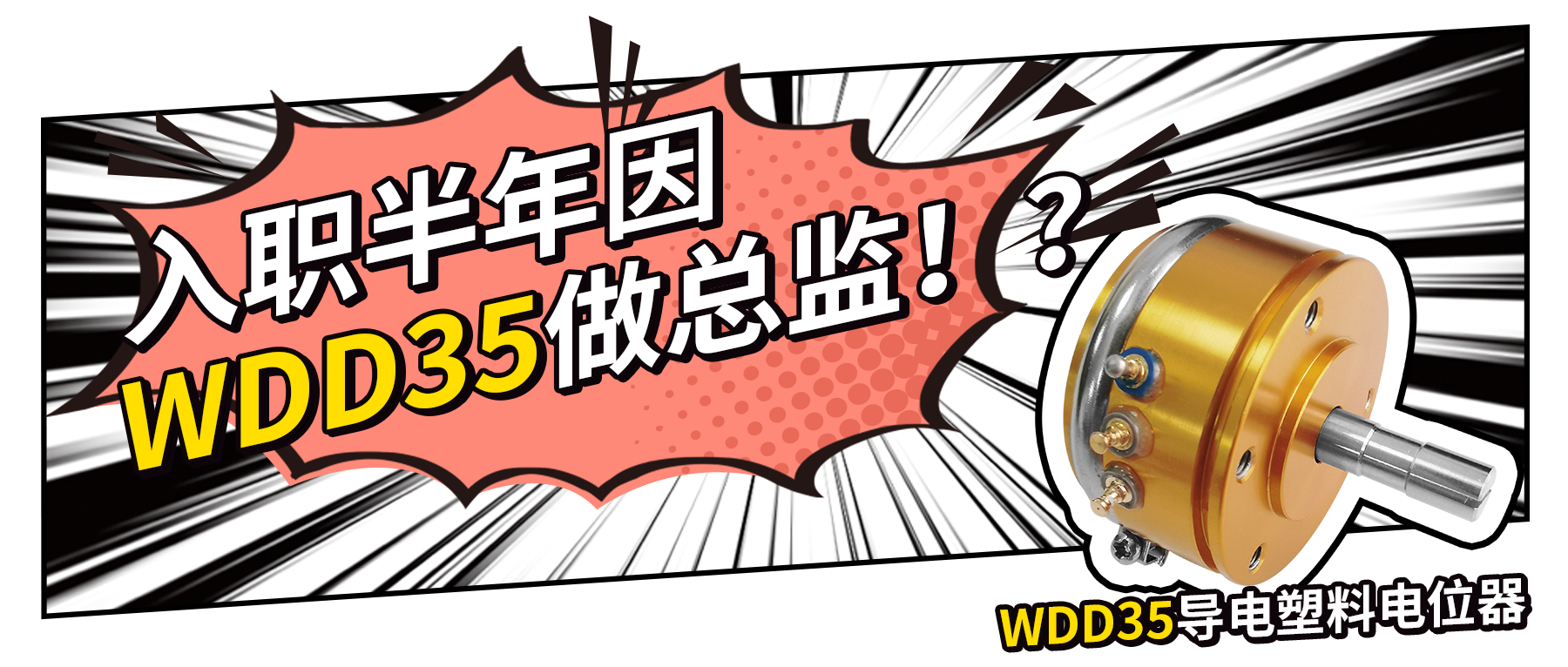 入職半年因WDD35做總監(jiān)？！
